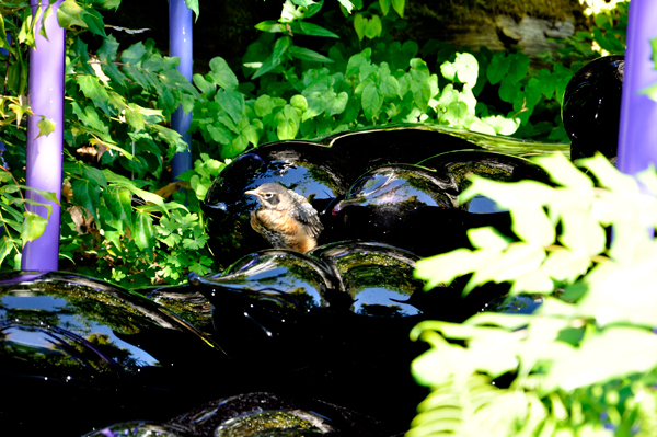 bird on the sculptures